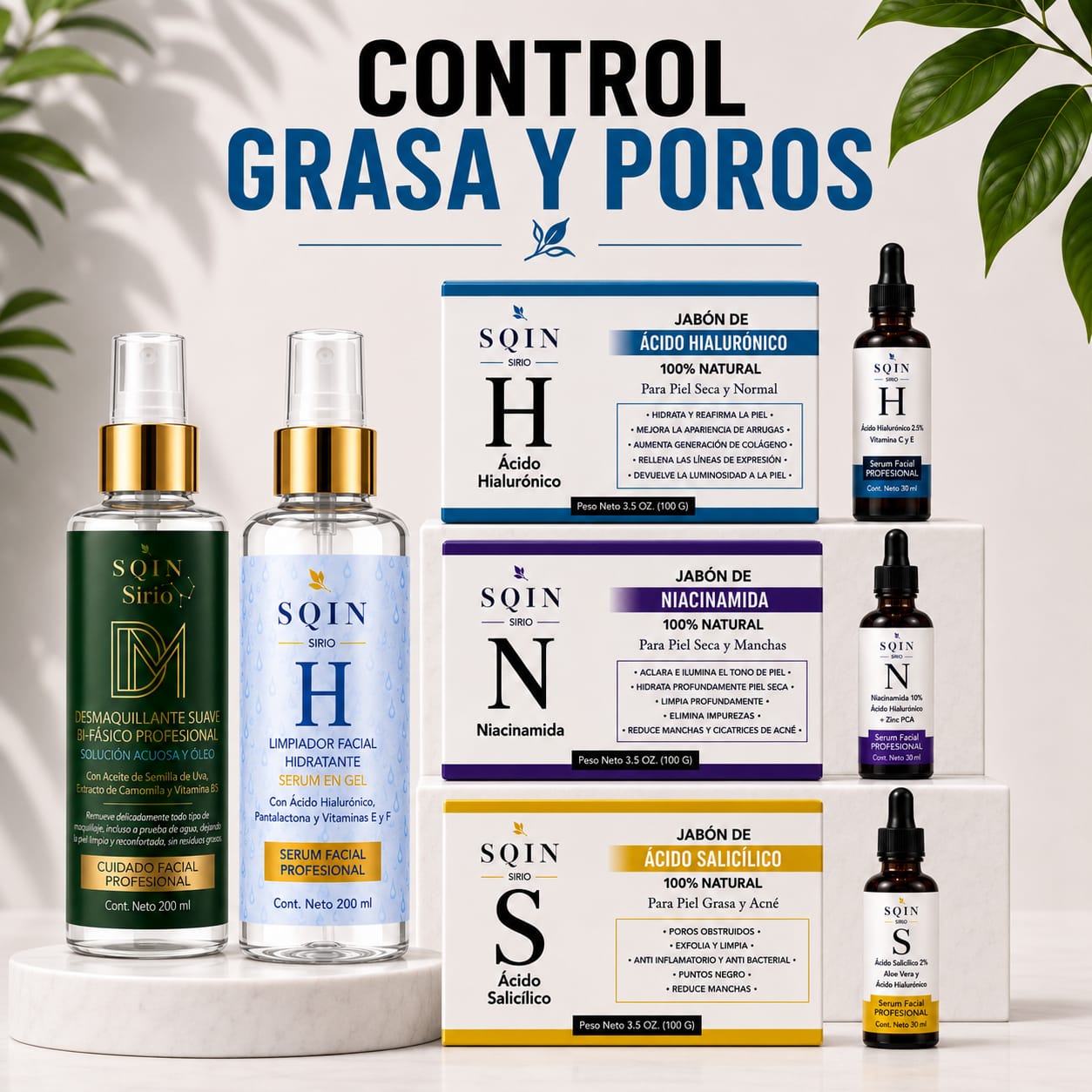 KIT CONTROL GRASA Y POROS